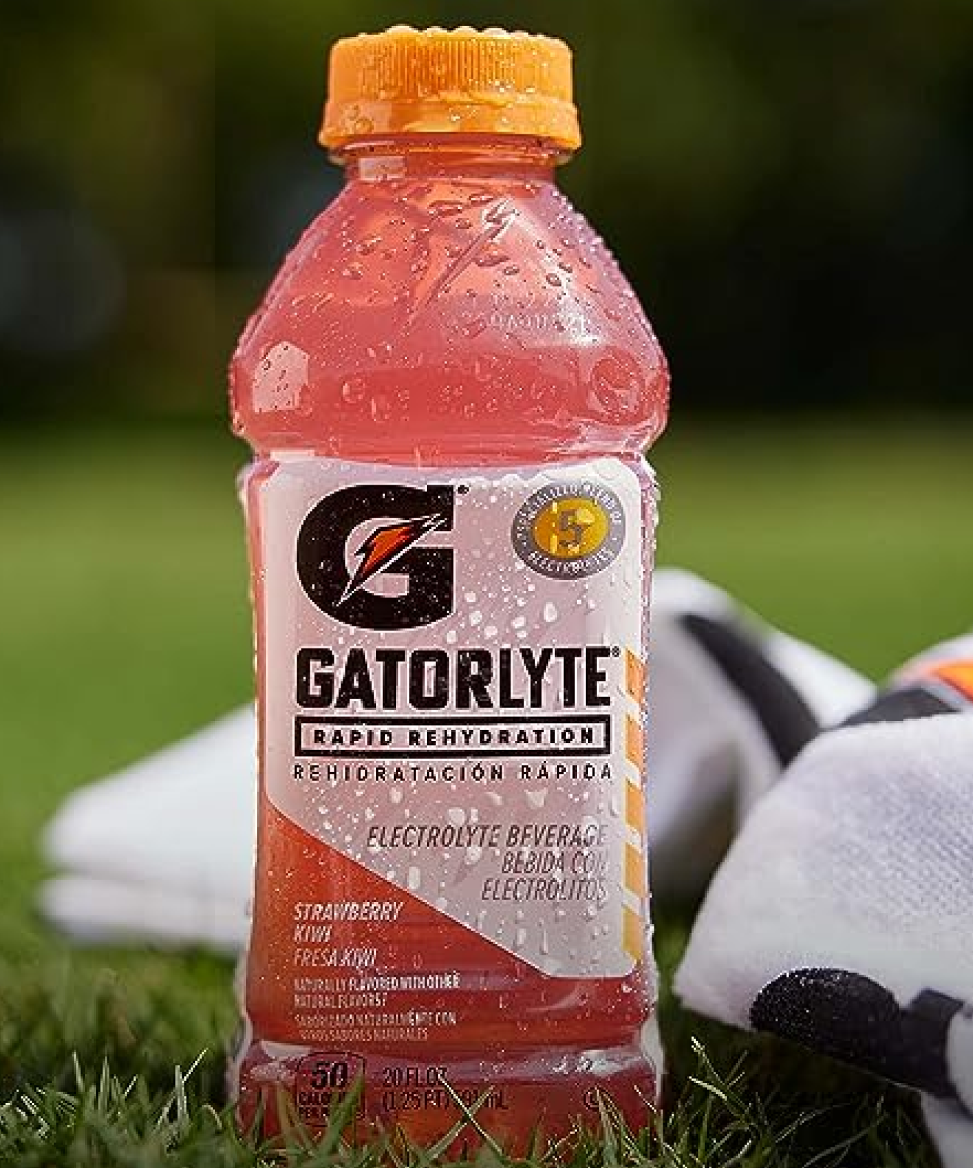 Gatorlyte - Strawberry Kiwi - PDP Detail 2